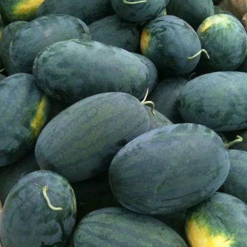 坎贝奇吃瓜黑料,揭秘娱乐圈背后的真相