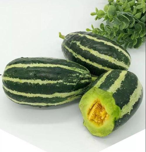 51吃瓜黑料大瓜成人今日入口,今日成人世界里的新鲜入口